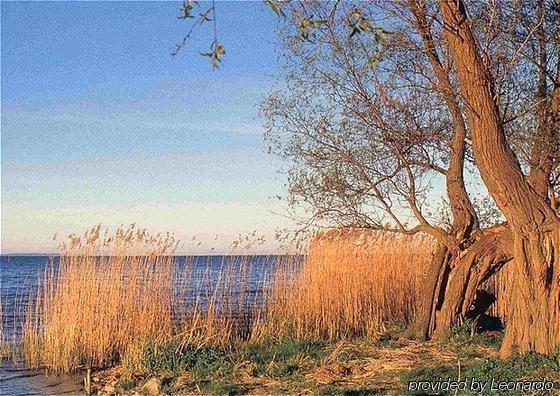 Alago Hotel Am See Cambs المظهر الخارجي الصورة